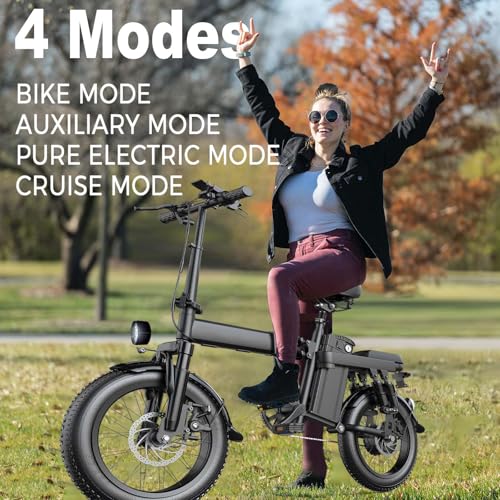 Ronson Electric Bike for Adults, 750W Motor, Foldable Fat Tire Ebike Z57486