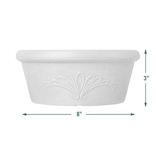 Arcadia Garden Products PSW Pot TA25TC Shallow Bulb Pan Planter Dish Low Bowl, 10-inch, Terra Cotta Y6618