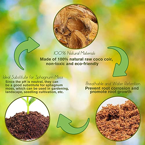 ZeeDix 8 Pcs Coco Coir Bricks for Plants Gardening F9796