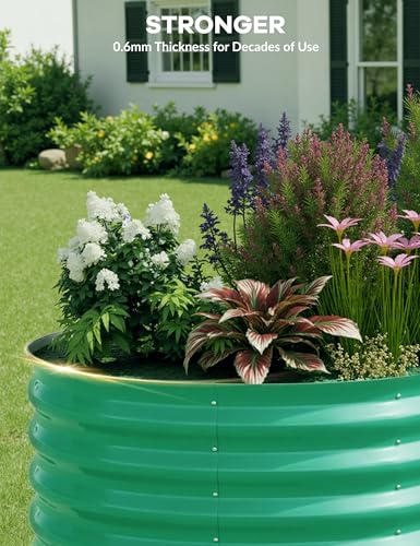 4x2x2Ft Oval Galvanized Steel Raised Garden Bed - Outdoor Metal Planter Box for Vegetables, Flowers, Herbs L43315