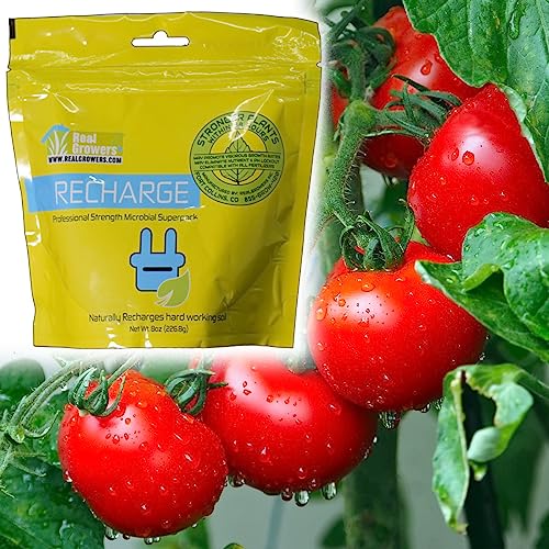 Real Growers Recharge Mycorrhizae Instant Compost Tea Soil Microbes 16oz Q9737