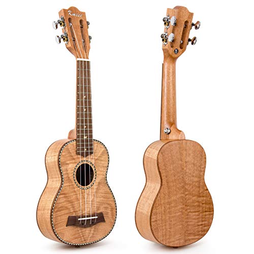 Kmise Soprano Ukulele 21 Inch Mahogany Starter Kit V365005