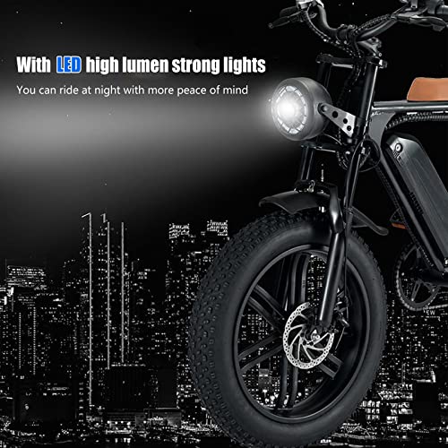 Electric Bike for Adults 20" Fat Tire 750W Removable Battery B243448