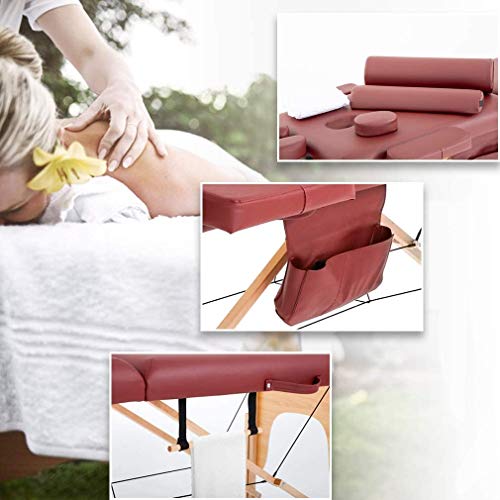 Dkeli Portable Massage Table Spa Bed Foldable 73 Inch Height Adjustable with Carry Case, Cream E1822
