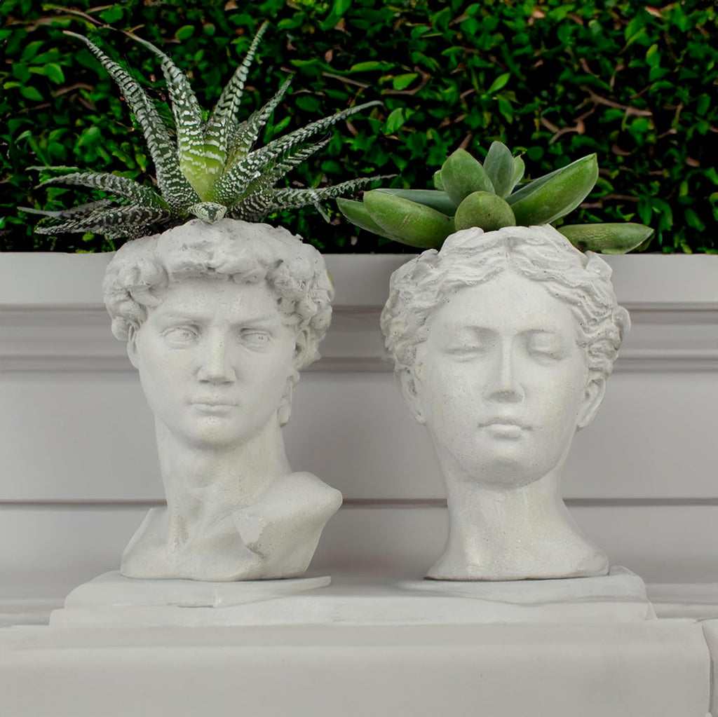 Unique Head Planter Succulent Pots - Greek Mythology Helen David Face Statue Bust Concrete Indoor Accessoires Decorative Office Sculpture Mini Flower Pot Outdoor Garden 5 Inch Set of 2, Gray (HD01)
