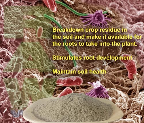 RAW Microbes Bloom 25lb - Microbial Inoculant for Flowering Plants H4853