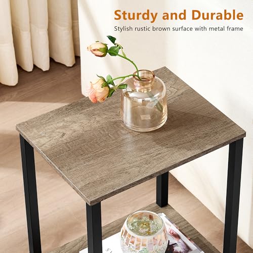 Rustic Brown 2-Tier Narrow End Table with Storage Shelf S446