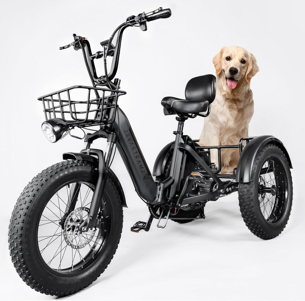 Electric Trike Adults 750W Motor 20" Fat Tire 3 Wheel Electric Bike Dual Removable Batteries Adult Electric Tricycle 50 Miles Range Electric Cargo Bike for Seniors Women Men Outdoor Beach Snow
