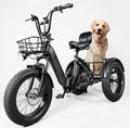 Electric Trike Adults 750W Motor 20" Fat Tire 3 Wheel Electric Bike Dual Removable Batteries Adult Electric Tricycle 50 Miles Range Electric Cargo Bike for Seniors Women Men Outdoor Beach Snow