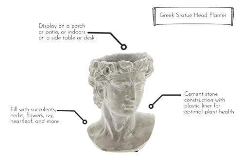 Greek Statue Head Cement Planter Indoor Outdoor Plant Pot X505
