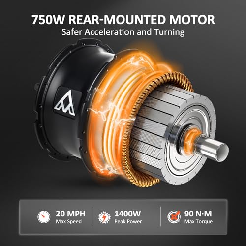 ADDMOTOR Electric Trike for Adults, 750W Rear Motor, 48V 20AH/40AH J984919