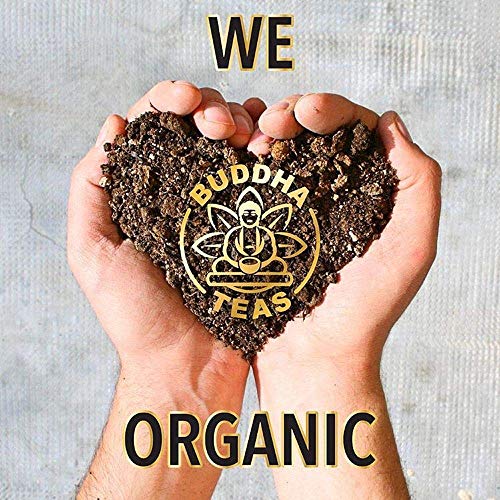 Buddha Teas Organic Yerba Mate Tea, 18 Bleach-Free Tea Bags Y859815