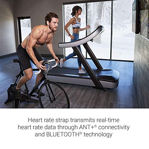 Concept2 RowErg Indoor Rowing Machine with PM5 Monitor U13293