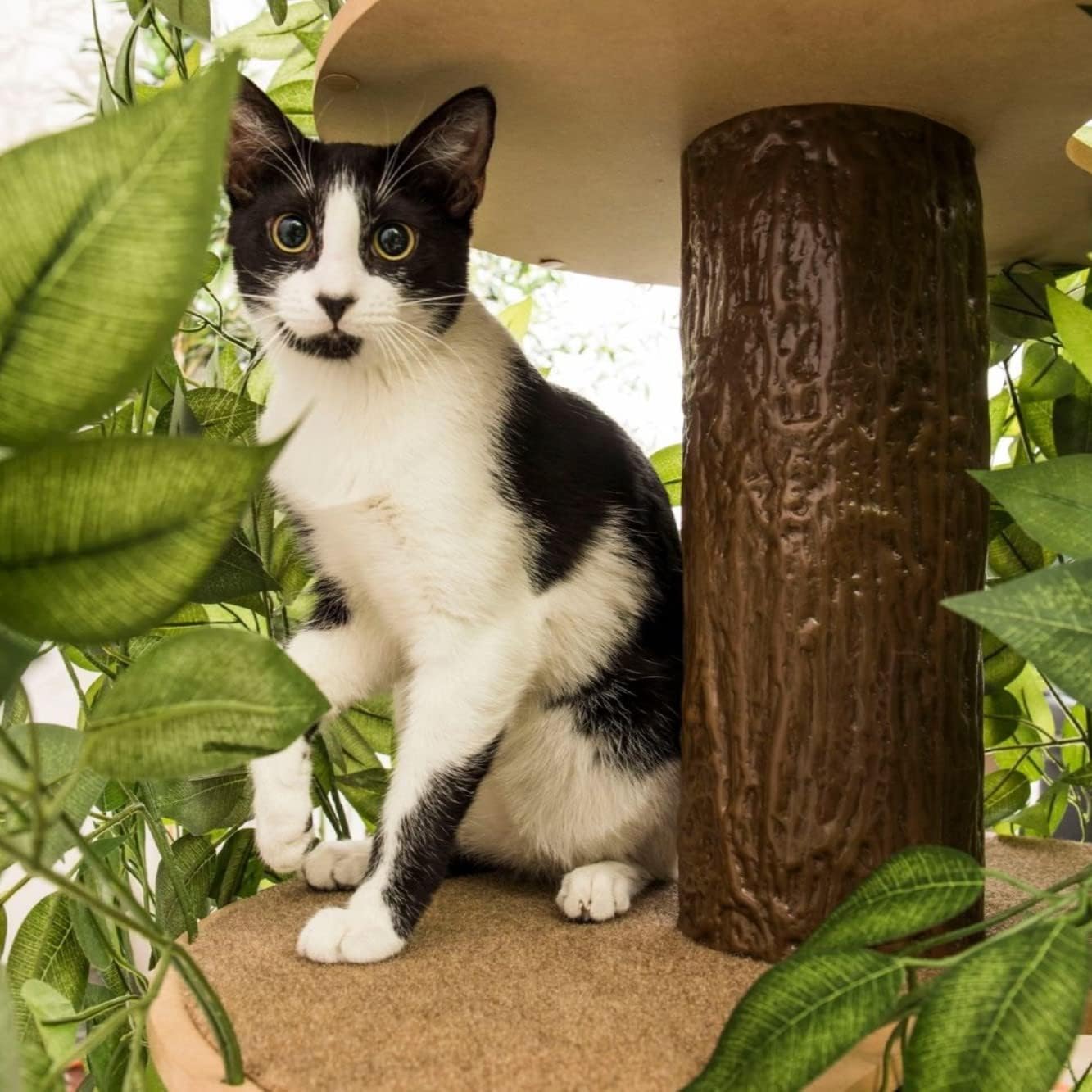 On2 Pets Cat Tree with Leaves, Multi-Level Cat Condo for Indoor Cats N57893