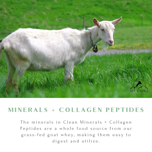 MT. CAPRA SINCE 1928 Hot Cocoa Clean Minerals with Collagen Peptides 675 G Y8767