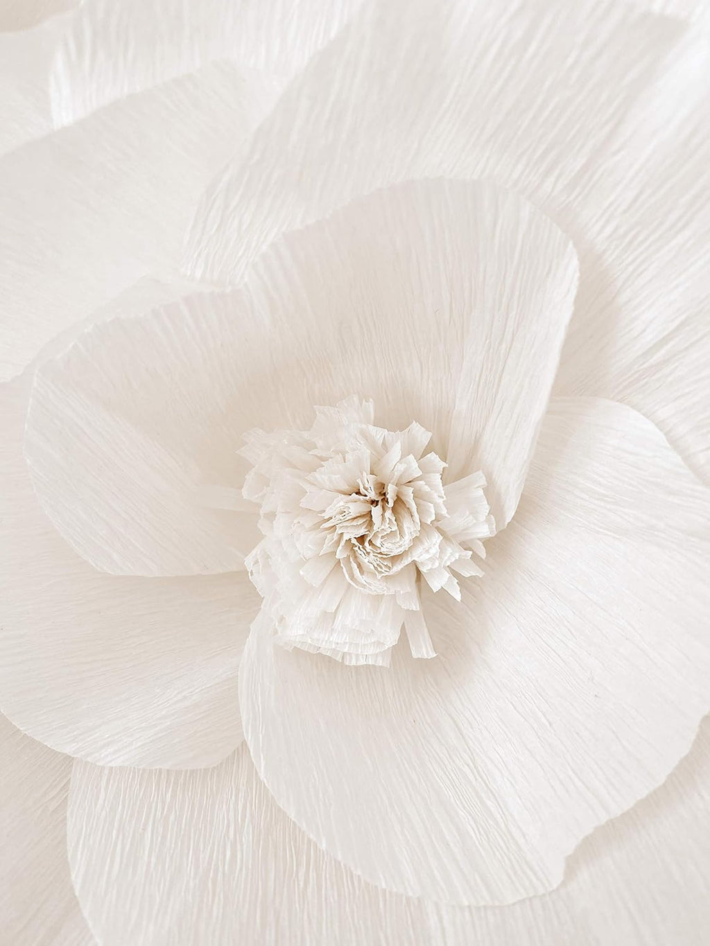 INNOBOUTIQUE Large 3D Paper Flower Wall Decor (6Pcs) X676357