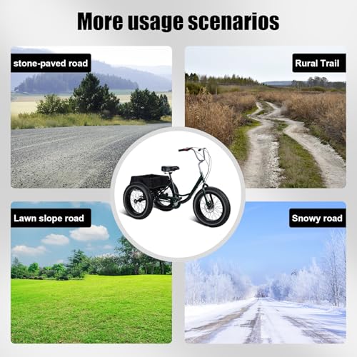Adult Tricycle 20 Inch 3 Wheel Fat Tire Bike with Basket and 7 Speed R23810