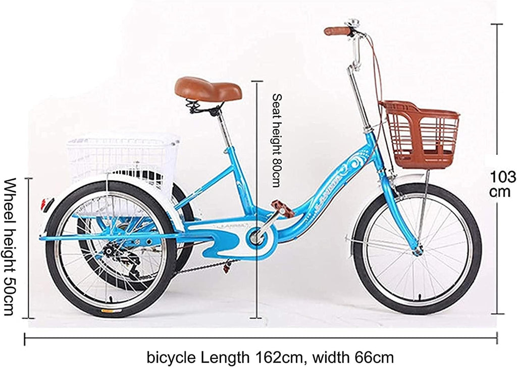 Adult Tricycle 20 Inch 3 Wheel Bike with Shopping Basket for Seniors X584
