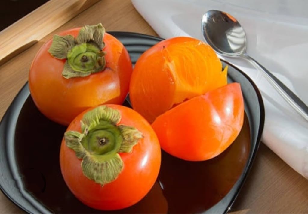 120 Japanese Persimmon Seeds for Planting Outdoors Non GMO Heirloom Y159
