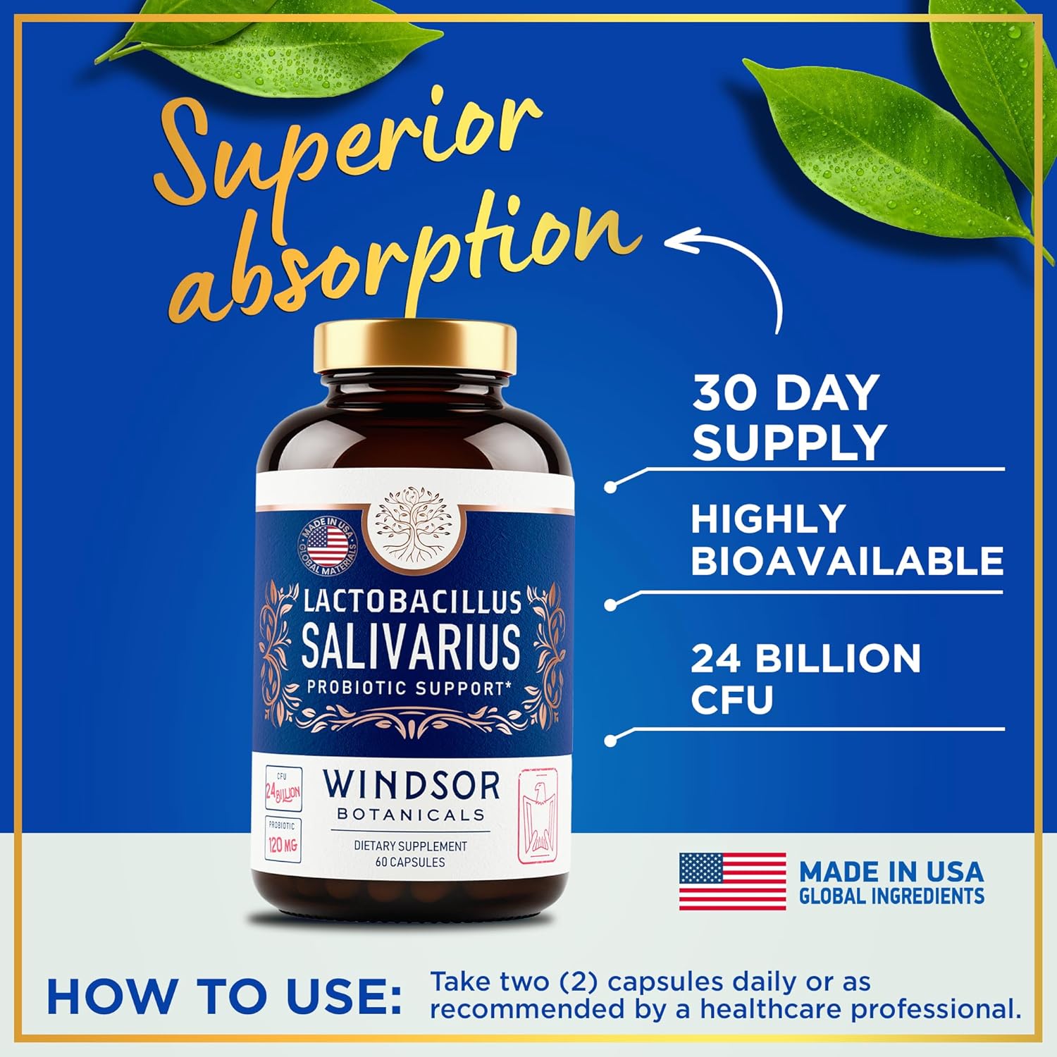 Lactobacillus Salivarius Probiotic Capsules for Oral, Dental, and Immune Support, 24bn CFU, 2-Pack B3141