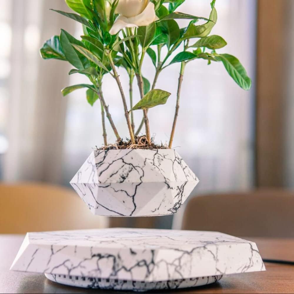 Floating Magnetic Levitating Flower Pot F917954