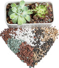 Bonsai Succulent Soil Potting Mix Ready to use Azalea Orchid Grow Potting Soil Plant Decorative Cover for Cactus 2.2LB Perlite Pumice Lava Rocks for Plants